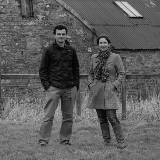 Martin Murray Rock Rose 4 Rock Rose