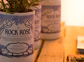 junipalooza-rock-rose-plant Rock Rose