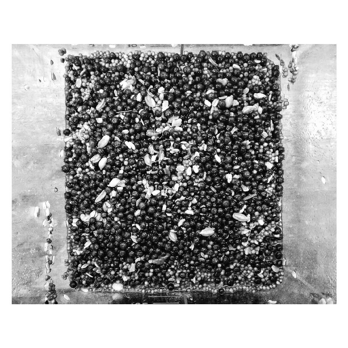 victory-gin-6 victory-gin-6