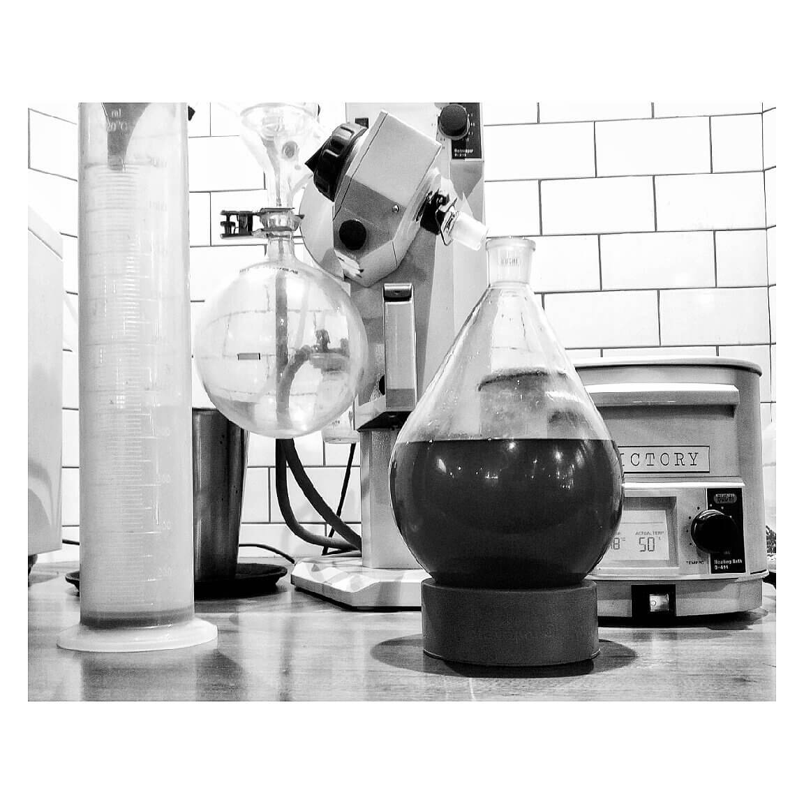 victory-gin-7 victory-gin-7